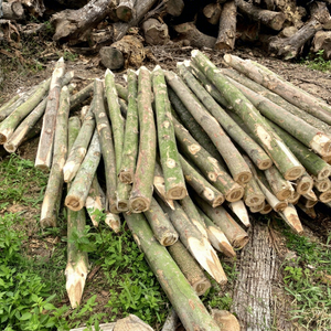 Estacas de Madera de Eucalipto Duraderas a Precio Económico, Postes de Madera Dura para Soporte de Plantas, para Jardín, Árboles, Enredaderas y Uso en Paisajismo - Product Image 1