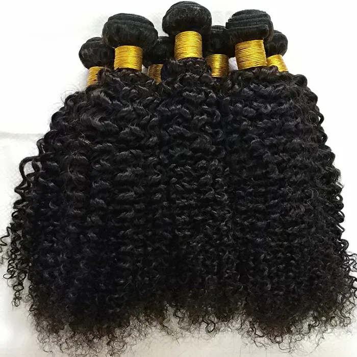 Letsfly Virgin 100% Human Hair Kinky Curly Hair Bundles Wholesale 24 26 28 30 Inches 10PCS/LOT For Black Woman