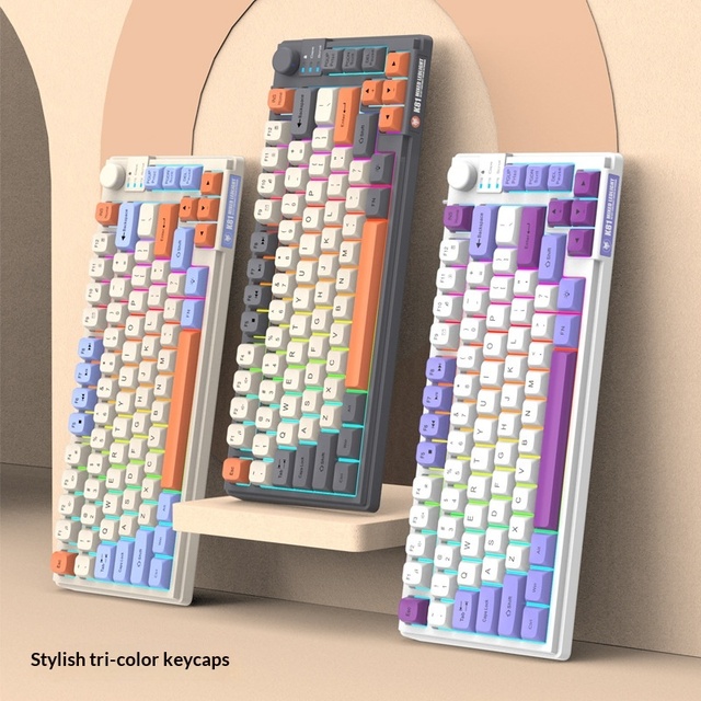 XUNFOX K81 Mechanical Wired Keyboard 81-Key USB-C 7-RGB Backlit Hot-Swap Ergonomic Full-Size Silicone Desktop/Laptop