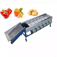 Hoge Kwaliteit Abrikoos Grader Fruit Sorteren Machine Kalibratie Sizer