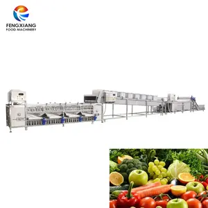 Linea di Produzione industriale per la Patata Dolce/Arancione/Apple/Frutta Lavaggio Asciugatura Macchina di Elaborazione di Smistamento