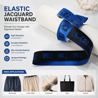 Bande élastique en nylon/spandex de qualité supérieure Aoya, douce, durable, confortable, couleur unie, ceinture de boxer, jacquard brillant pour sacs