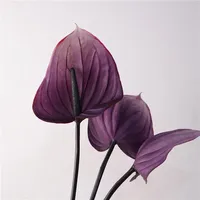 Susunan Bunga Latar Belakang Pernikahan Anthurium Calla Lily Sentuhan Asli Lateks PVC Buatan 75cm Dekorasi Acara Pesta Rumah
