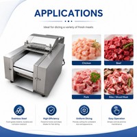 Machine à découper la viande congelée et fraîche, électrique, en acier inoxydable, haute capacité, pour kebab, shawarma, gyros, doner, boucherie