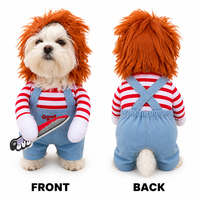 Ensemble de costumes de chat d'Halloween personnalisés OEM ODM, tenue de cosplay pour animaux de compagnie, chapeau de sorcière, cape, vêtements de chat personnalisés, faible MOQ d'usine