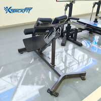 Banc d'extension dorsal en métal unisexe pour équipement de fitness, chaise romaine, pour salle de sport commerciale