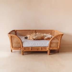 ขายส่งเตียงสัตว์เลี้ยงหวายทำด้วยมือรับ MOQ ต่ำผลิตในเวียดนาม - Product Image 1