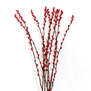Fiore artificiale Secchi <span class=keywords><strong>Argento</strong></span> Salice Uso Naturale <span class=keywords><strong>Bouquet</strong></span> Caldo Conserve di Lunga Durata per il FAI DA TE Da Sposa Colorato Fiore Decorativo - Product Image 1