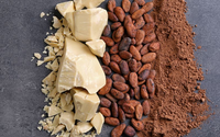 Beurre de cacao brut naturel beurre de cacao biologique de haute qualité pour savon cosmétique bricolage lotion savon baume à lèvres