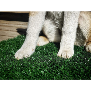 Porche intérieur pot gazon artificiel pour chiens gazon remplacement chien animal de compagnie toilette pot plateau herbe tapis pour chiot pot formateur - Product Image 4