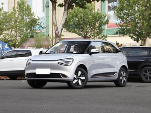 Nouvelle Voiture Électrique SUV 5 Places Dongfeng Nano 01 2025, 330 km d'autonomie, Version Jeunesse Nammi Box, Commande à Distance, Direction à Gauche, Norme Euro VI - Product Image 2