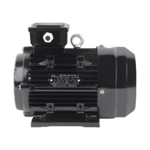 <span class=keywords><strong>Moteur</strong></span> de nettoyeur haute pression 7,5 kW avec entraînement direct <span class=keywords><strong>à</strong></span> arbre creux - Product Image 1