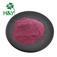 Natuurlijke Kwiek Gedroogd Elderberries Zwarte Vlier Elderberries Vruchtensap Poeder