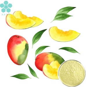 Mango Seed Leaf Extract Mangiferin <strong>Powder</strong> - Product Image 2