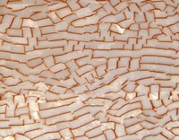 Fabriqué en chine, feuille de cellulose de polycarbonate diffusant la lumière en bois mère