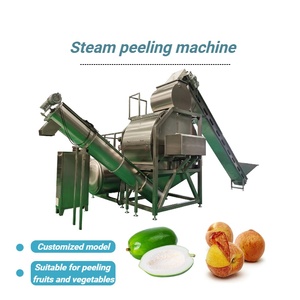 Macchina Automatica ad Alta Efficienza per la Pelatura a Vapore di Carote, Manioca, Papaya, Pomodori e Patate - Product Image 2
