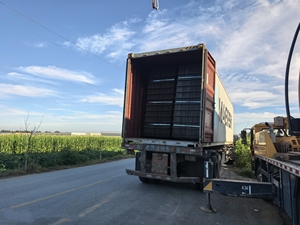 Plain Weave Black <strong>Gabion</strong> Wall Retaining Construction Welded Wire <strong>Gabion</strong> for Sale Made of <strong>Steel</strong> Wire Mesh - Product Image 6