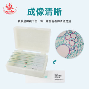 สไลด์ตัวอย่างสำหรับกล้องจุลทรรศน์ 10 ชนิด รวมถึงสไลด์ตรวจคราบเลือดมนุษย์ ใช้สำหรับสไลด์สังเกตการณ์ในวิชาวิทยาศาสตร์ของนักเรียน - Product Image 3