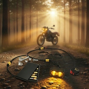 Phare <span class=keywords><strong>avant</strong></span> Amber Baja alimenté par batterie Wintai-Tech pour vélo électrique - Product Image 1