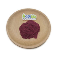 Prix de gros de poudre de fruit de maqui poudre de baie de maqui naturelle pure soluble dans l'eau