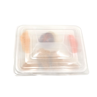 Einweg-Plastik-Lunchbox mit 4 Fächern für Fast-Food-Verpackungen