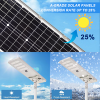 Lampe solaire tout-en-un intégrée et projecteur solaire en aluminium pour éclairage extérieur avec capteur