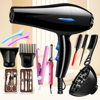 Ensemble de sèche-cheveux de voyage professionnel, compact en plastique, moteur DC, 3 vitesses, haute vitesse, électrique, pour salon, hôtel, usage domestique, ionique, 800W, ODM
