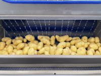 Groentefruit Gember Aardappelschiller Wasschilmachine Aardappelmachine