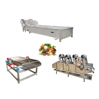 Machine multifonctionnelle entièrement automatique en acier inoxydable pour le lavage et le séchage des fruits et légumes, avec tamis vibrant pour citrons, pour la vente en gros