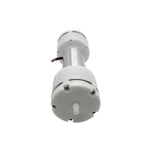 Pompe à air miniature Pincheng 555A 12V/24V, pompe à double tête à courant continu sans balais à haut débit pour tentes et matelas pneumatiques, en plastique durable - Product Image 1