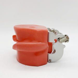 نموذج ممارسة طب الأسنان مكون من 28 قطعة لتمارين الفم بالكامل بأسنان قابلة للفصل - Product Image 3