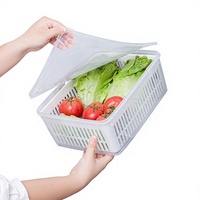 Contenants de Conservation Alimentaire en PVC de Qualité Alimentaire Style Japonais avec Drainage pour Légumes et Fruits, Boîtes de Rangement de Cuisine pour Réfrigérateurs
