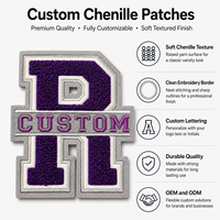Patchs en chenille personnalisés, brodés, à texture douce, thermocollants, style universitaire avec lettres, badges appliqués, meilleures ventes pour chemises, chapeaux et vêtements