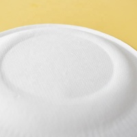 Échantillon gratuit, vaisselle en bagasse écologique, très vendue, assiettes jetables en canne à sucre blanches, plats de traiteur, biodégradables