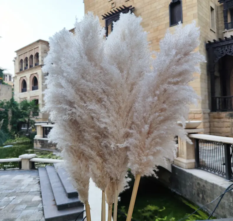 Wholesale wedding decorations boho decor natural dried large pampas grass wall natural dried flower