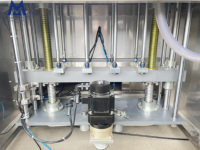Automatische afvulmachine voor meerdere koppen, voor het verpakken van vloeibare zakjes, fruit sap vullen, zakjes sap machine