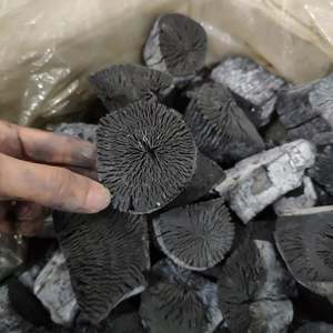 Bâton de charbon de bois Binchotan de litchi blanc de haute qualité fabriqué au Vietnam Matériau en bois dur - Product Image 5