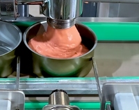 Machine de remplissage entièrement automatique à 6 buses pour mayonnaise, sauce chili, ketchup, huile, boissons et produits chimiques, capacité 100-2000g, pour canettes en fer blanc/aluminium