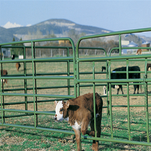 ألواح سياج للماشية للمنازل السابقة لتربية الماشية والأبقار الحية ، سياج مواشي معدني مجلفن - Product Image 2