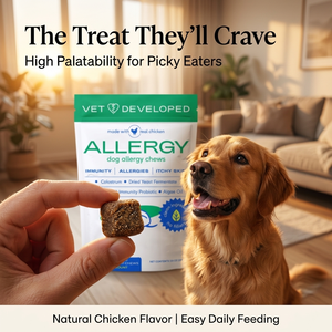 Allergie d'usine et probiotiques immunitaires chiens prébiotiques santé peau et manteau mâche doux quotidien <span class=keywords><strong>pour</strong></span> intestin digestif supplément naturel <span class=keywords><strong>pour</strong></span> animaux de compagnie - Product Image 5