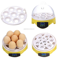 YYC Mini Machine automatique à couver les œufs de poule Incubateurs d'oeufs d'observation de laboratoire dans les familles d'arrière-cour en incubation