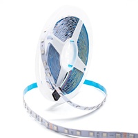Bande lumineuse LED RGB 24V 5050 10mm de largeur 60leds/m Bandes LED flexibles