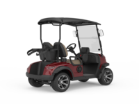Vente à prix d'usine, tout nouveau buggy de golf électrique 2 places, faible entretien, chariot de golf électrique 2 places avec batterie au lithium