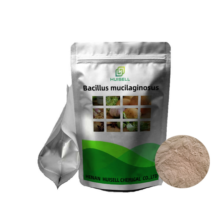 Добавка для удобрений Bacillus Mucilaginosus, в наличии