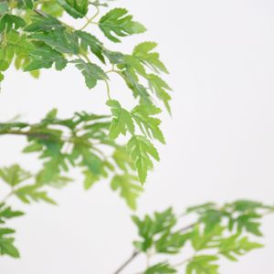 Árbol de álamo artificial Dream Castle de 120 cm, planta de bonsái de seda para interiores, decoración del hogar - Product Image 1