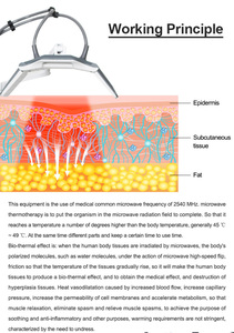 เครื่องสลายไขมัน Spaceless Lipolysis Lumewave Master ลดไขมัน กระชับสัดส่วน สร้างหุ่นโค้งเว้า ไม่ต้องผ่าตัด ไม่ต้องพักฟื้น - Product Image 3
