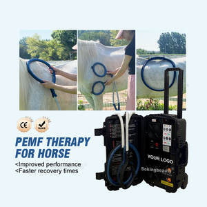 Produk fisioterapi LOOP kuda dan kuda PEMF LOOP 2 in 1 untuk pereda nyeri tubuh - Product Image 2