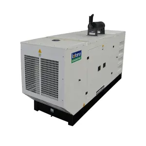 Generator Baudouin KD30OM Model 30 KVA dengan Kanopi dan ATS Detroit Mesin Megatron Alternator Katana Generator