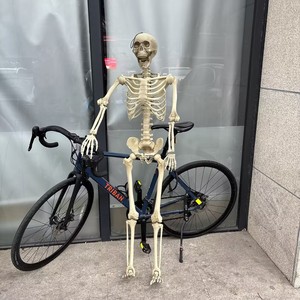 Oferta 2026: Esqueleto Humano Gigante Realista de 160 cm (60 Pulgadas/10 pies) para Decoración de Jardín, Ideal para Halloween - Product Image 1