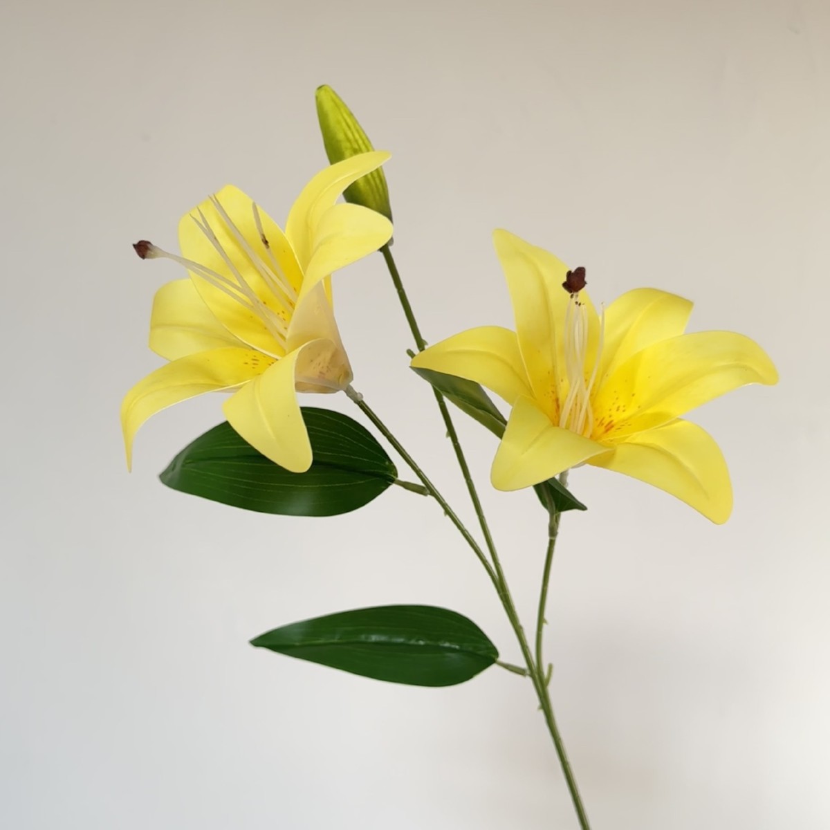 Jaune